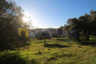 Terreno para Venda em São Bartolomeu de Messines