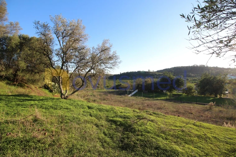 Terreno para Venda em São Bartolomeu de Messines