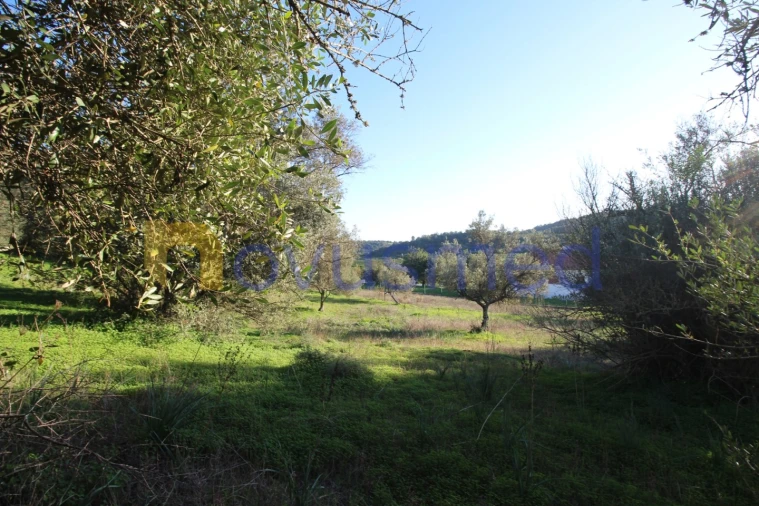 Terreno para Venda em São Bartolomeu de Messines Foto 4