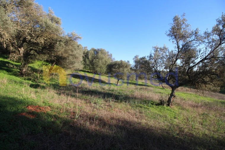 Terreno para Venda em São Bartolomeu de Messines Foto 18