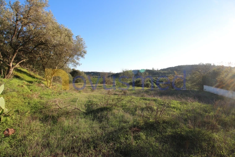 Terreno para Venda em São Bartolomeu de Messines Foto 22
