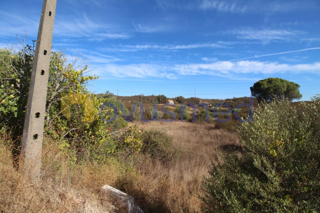 Moradia T4 para Venda em São Bartolomeu de Messines Foto 20