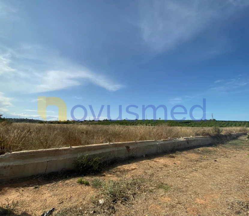 Quinta T8 para Venda em Quelfes Foto 5