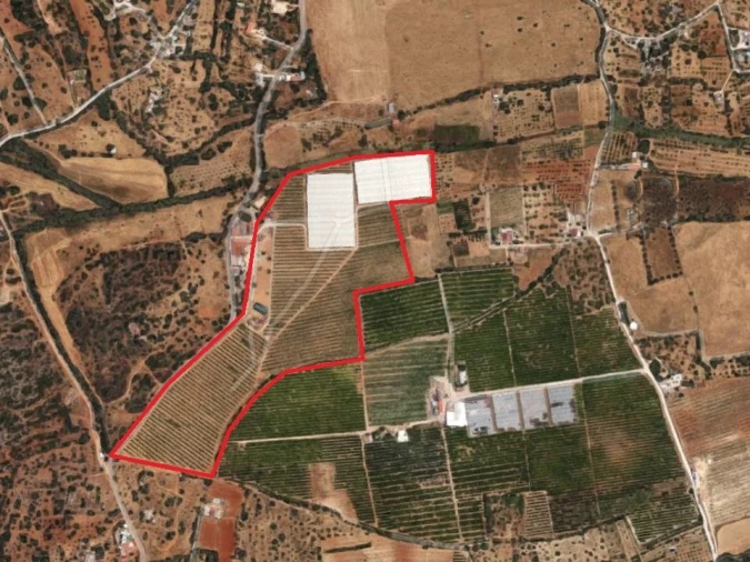 Quinta T8 para Venda em Quelfes Planta 1