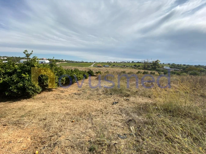 Quinta T8 para Venda em Quelfes Foto 3