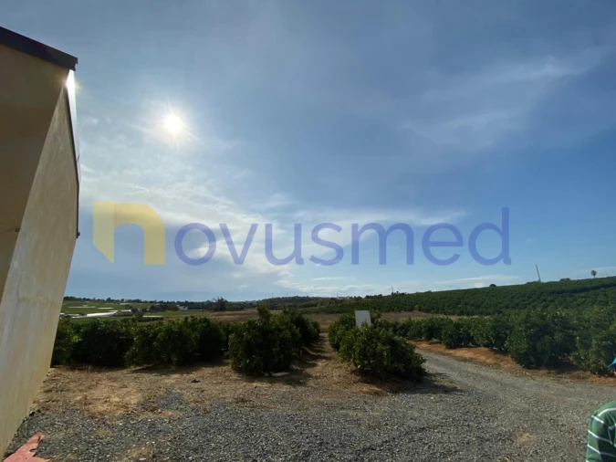 Quinta T8 para Venda em Quelfes