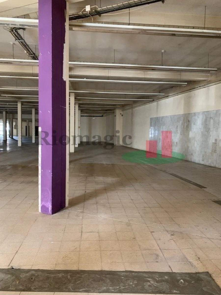 Loja para Arrendamento em Marinha Grande Foto 2