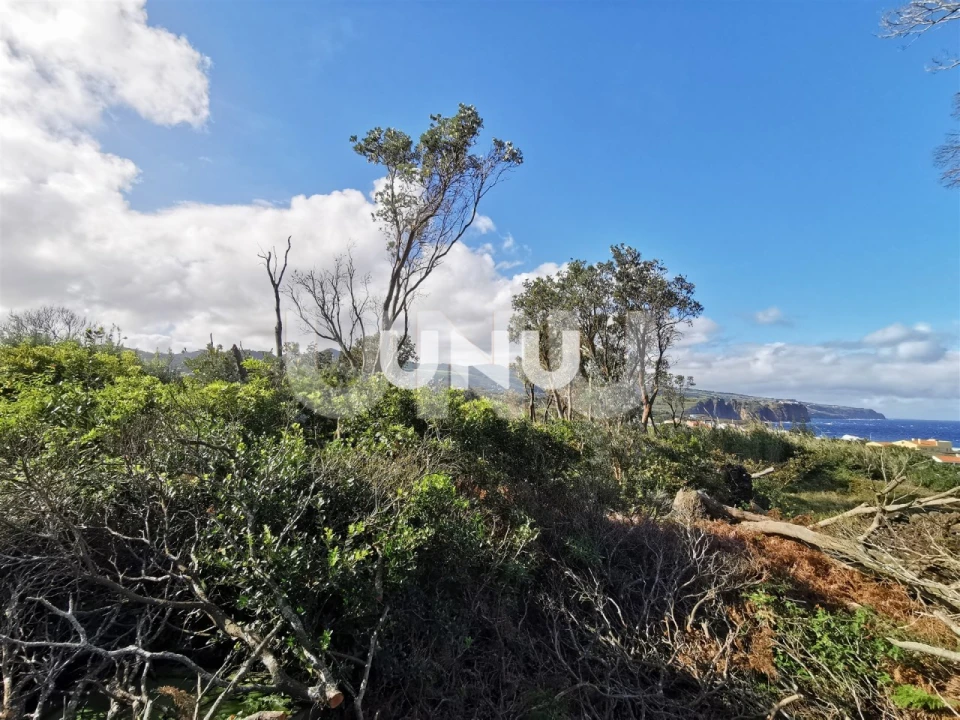 Terreno Agricola ou Rústico para Venda em São Vicente Ferreira Foto 2