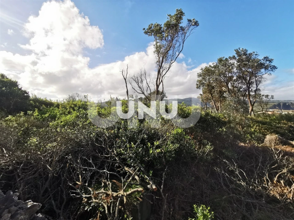 Terreno Agricola ou Rústico para Venda em São Vicente Ferreira Foto 4