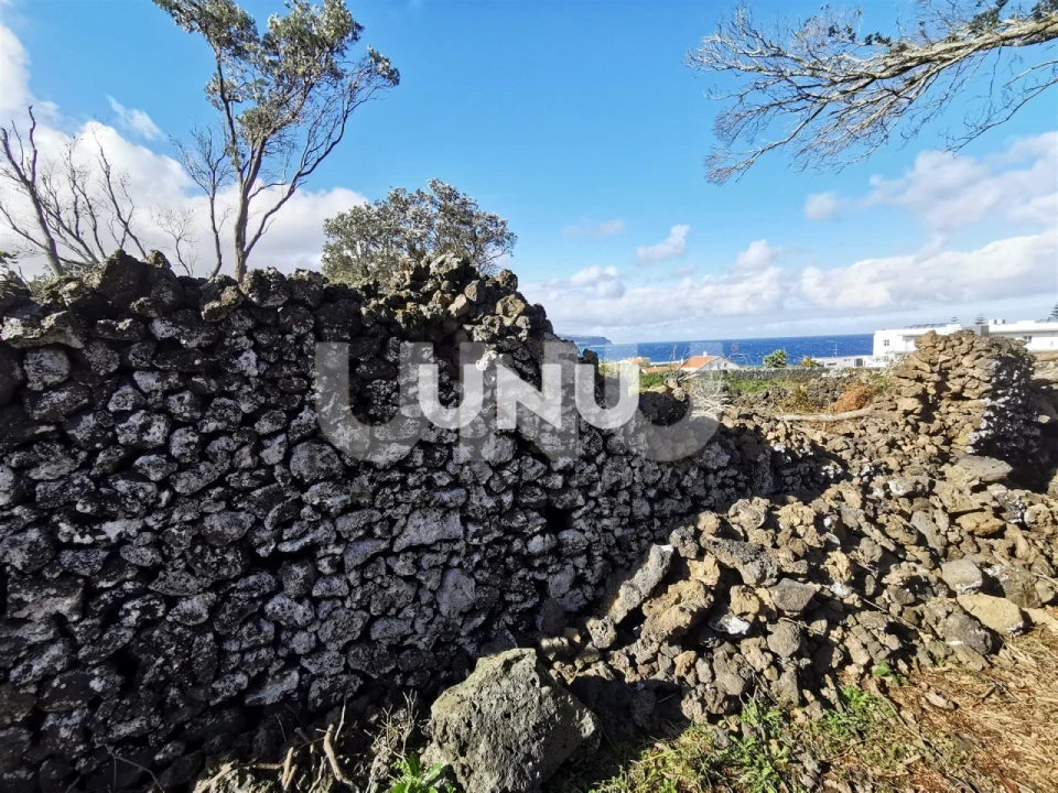 Terreno Agricola ou Rústico para Venda em São Vicente Ferreira Foto 6