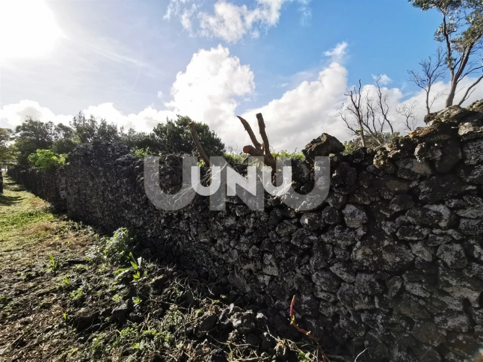Terreno Agricola ou Rústico para Venda em São Vicente Ferreira Foto 7