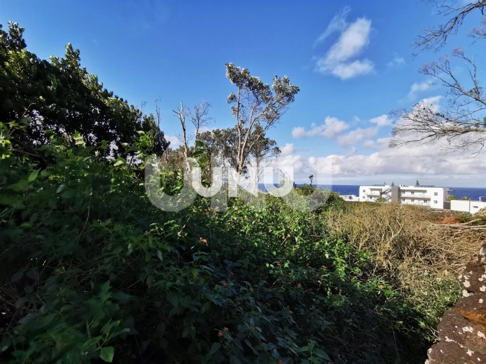 Terreno Agricola ou Rústico para Venda em São Vicente Ferreira Foto 8