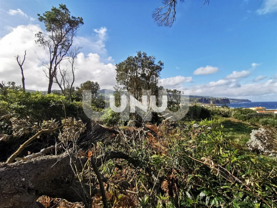Terreno Agricola ou Rústico para Venda em São Vicente Ferreira Foto 10