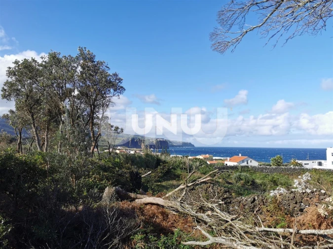 Terreno Agricola ou Rústico para Venda em São Vicente Ferreira Foto 3