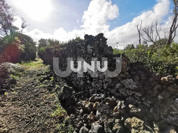 Terreno Agricola ou Rústico para Venda em São Vicente Ferreira Foto 5