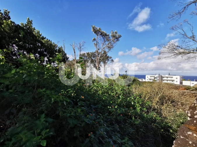 Terreno Agricola ou Rústico para Venda em São Vicente Ferreira Foto 8