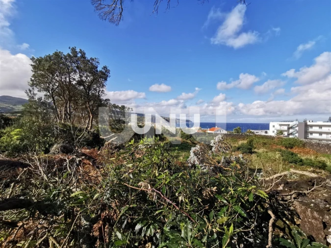Terreno Agricola ou Rústico para Venda em São Vicente Ferreira Foto 9