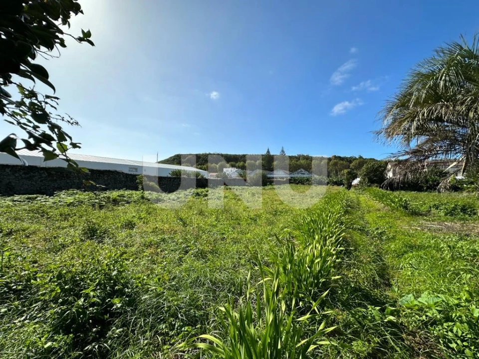 Prédio para Venda em Santa Clara Foto 5