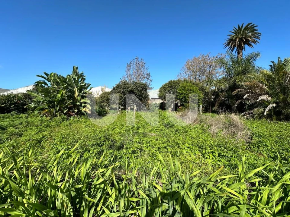 Prédio para Venda em Santa Clara Foto 13