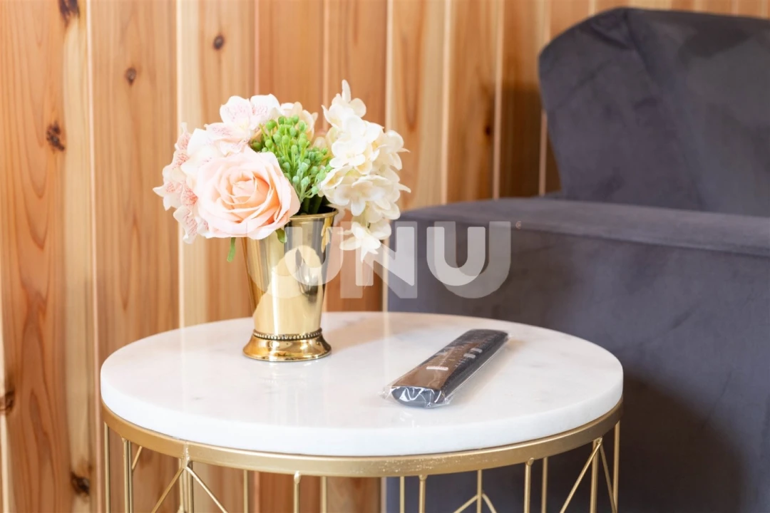 Negócio para Venda em Almagreira Foto 5