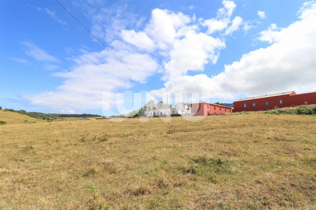 Negócio para Venda em Almagreira Foto 18