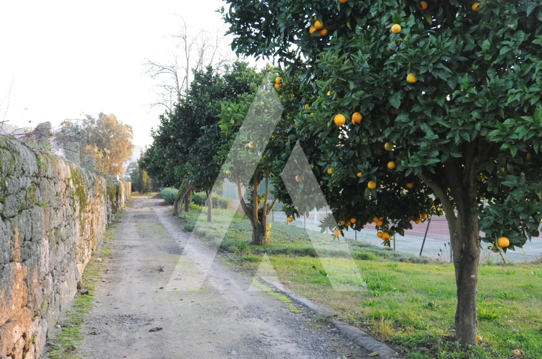 Moradia T11 para Venda em Vila Franca Foto 14