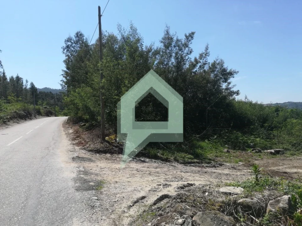 Terreno para Venda em Souto Santa Maria, Souto São Salvador e Gondomar Foto 4