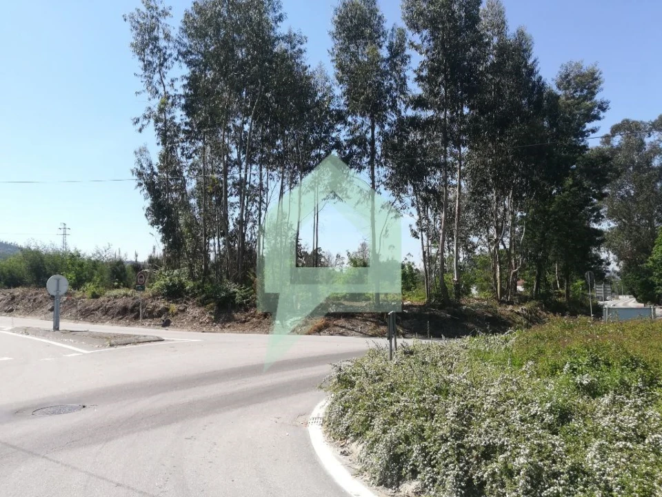 Terreno para Venda em Souto Santa Maria, Souto São Salvador e Gondomar Foto 6