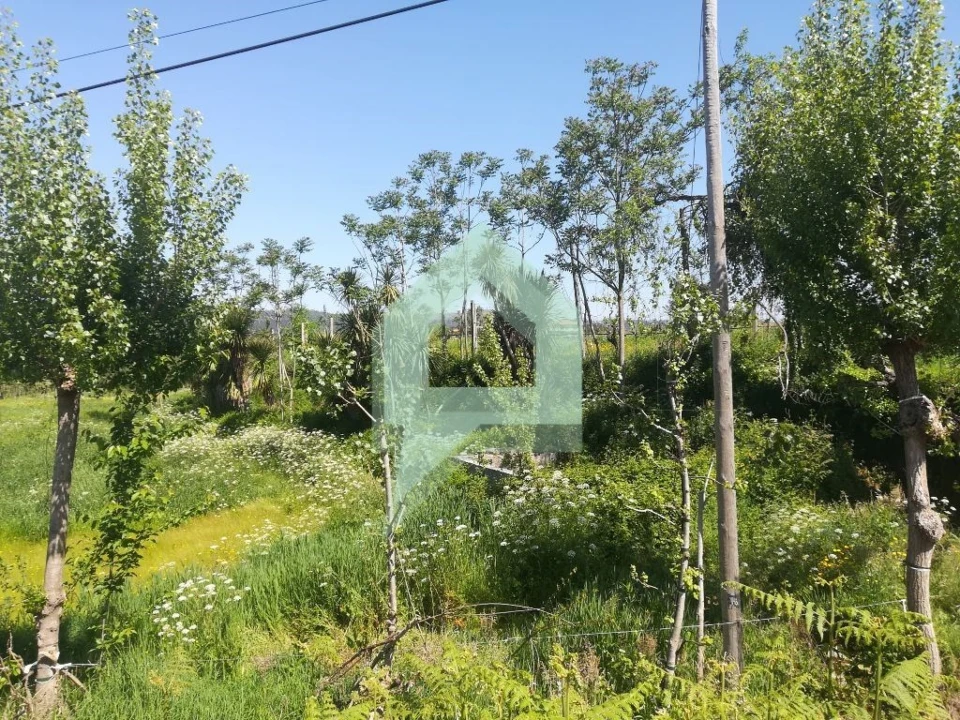 Terreno para Venda em Souto Santa Maria, Souto São Salvador e Gondomar Foto 9