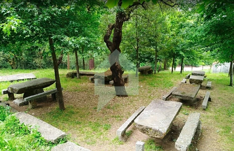 Quinta T10 para Venda em Pereira Foto 20