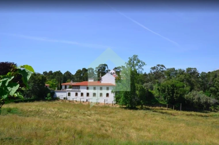 Quinta T10 para Venda em Pereira Foto 4