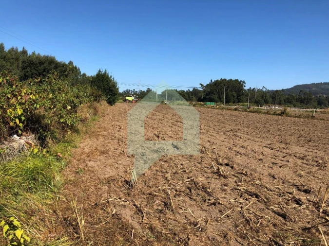 Terreno Agricola ou Rústico para Venda em Vila Seca Foto 3