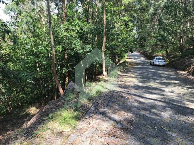 Terreno Agricola ou Rústico para Venda em Pereira Foto 6