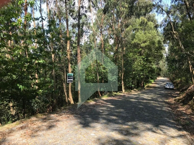 Terreno Agricola ou Rústico para Venda em Pereira Foto 8