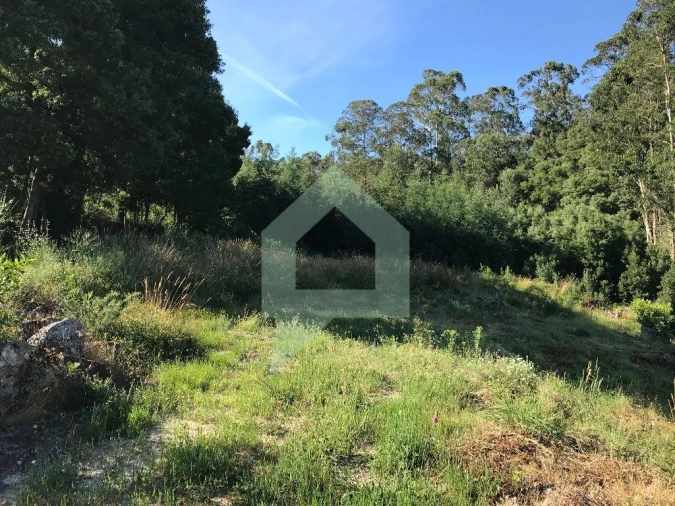 Terreno Agricola ou Rústico para Venda em Creixomil e Mariz Foto 2