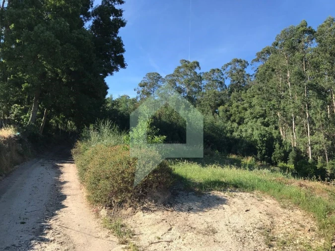 Terreno Agricola ou Rústico para Venda em Creixomil e Mariz Foto 6