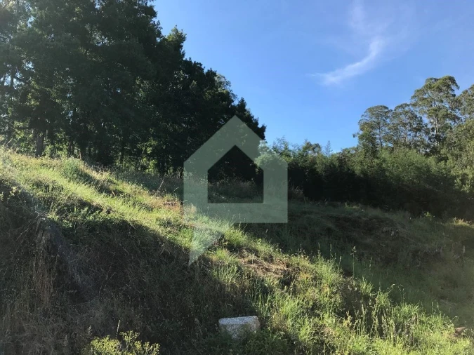 Terreno Agricola ou Rústico para Venda em Creixomil e Mariz Foto 8