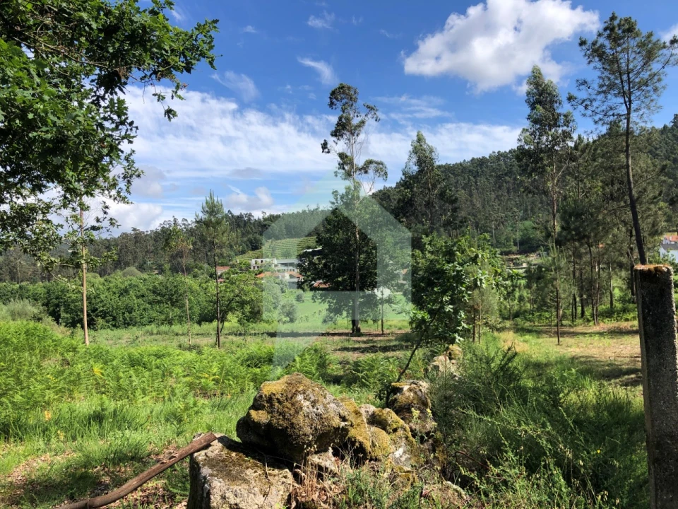 Terreno Agricola ou Rústico para Venda em Cossourado Foto 8