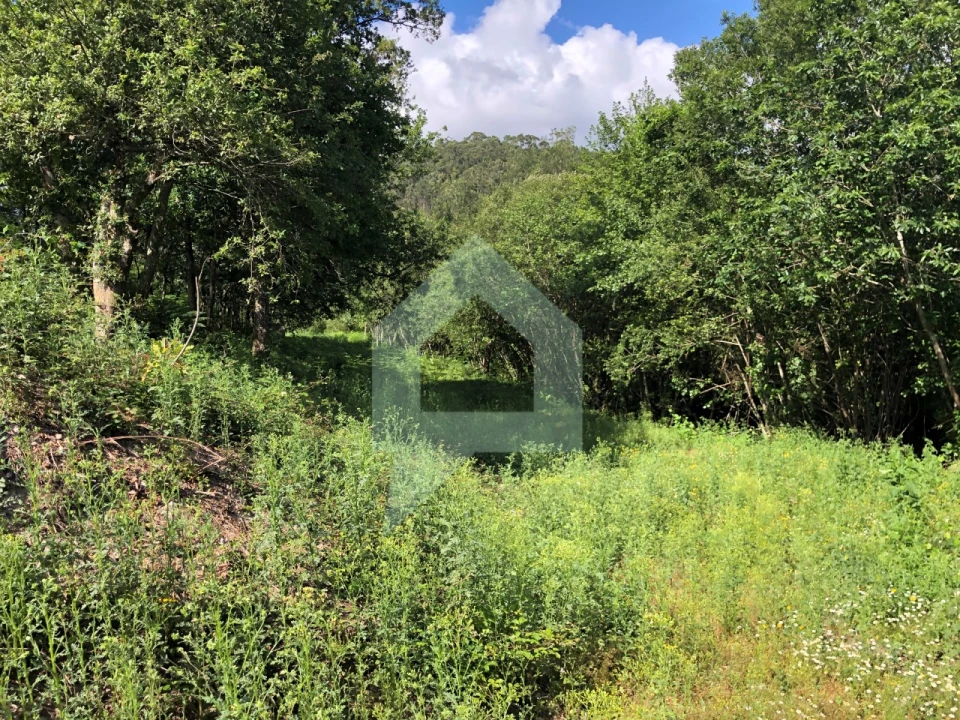 Terreno Agricola ou Rústico para Venda em Cossourado Foto 13