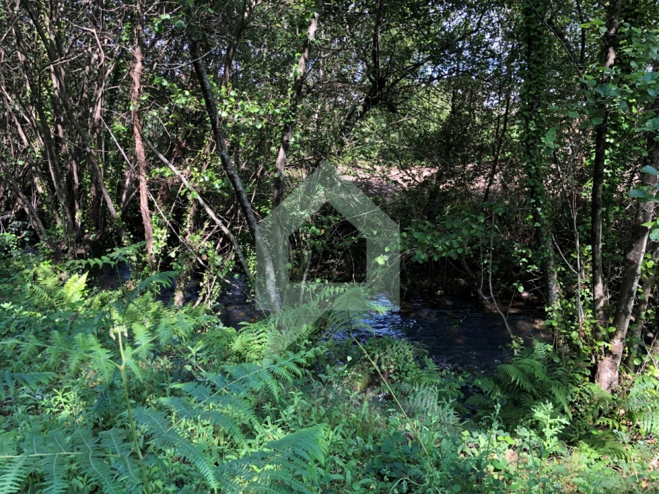 Terreno Agricola ou Rústico para Venda em Cossourado Foto 16