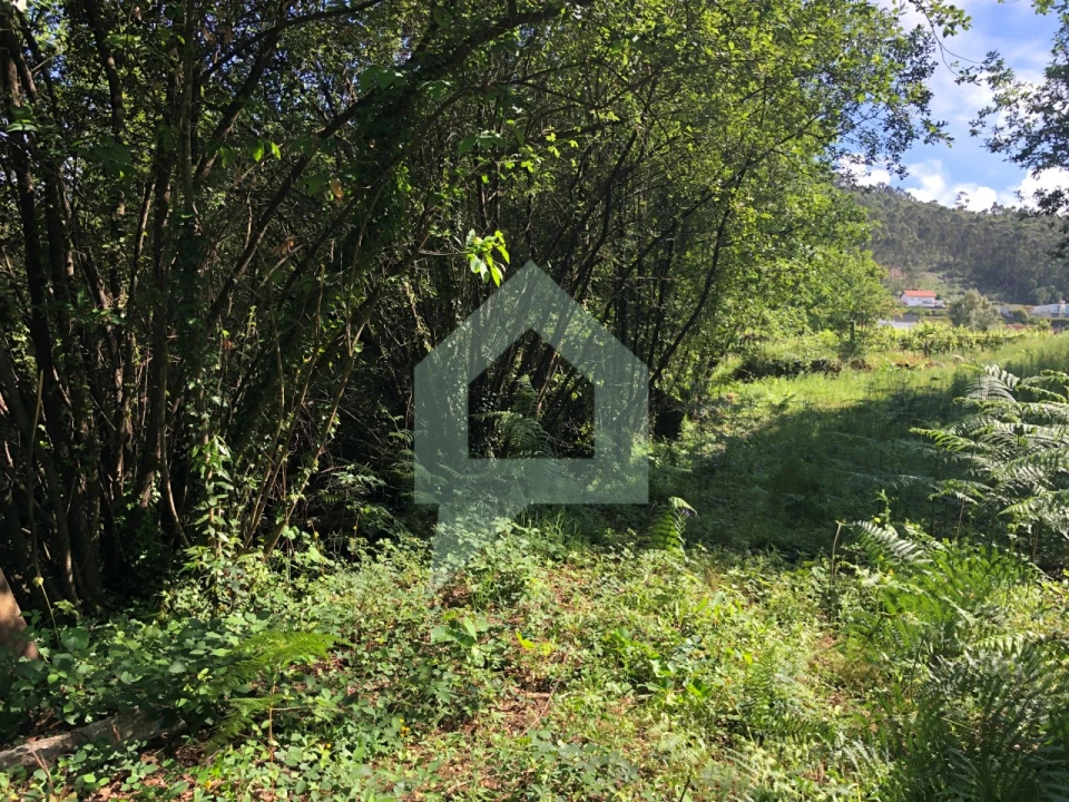 Terreno Agricola ou Rústico para Venda em Cossourado Foto 17
