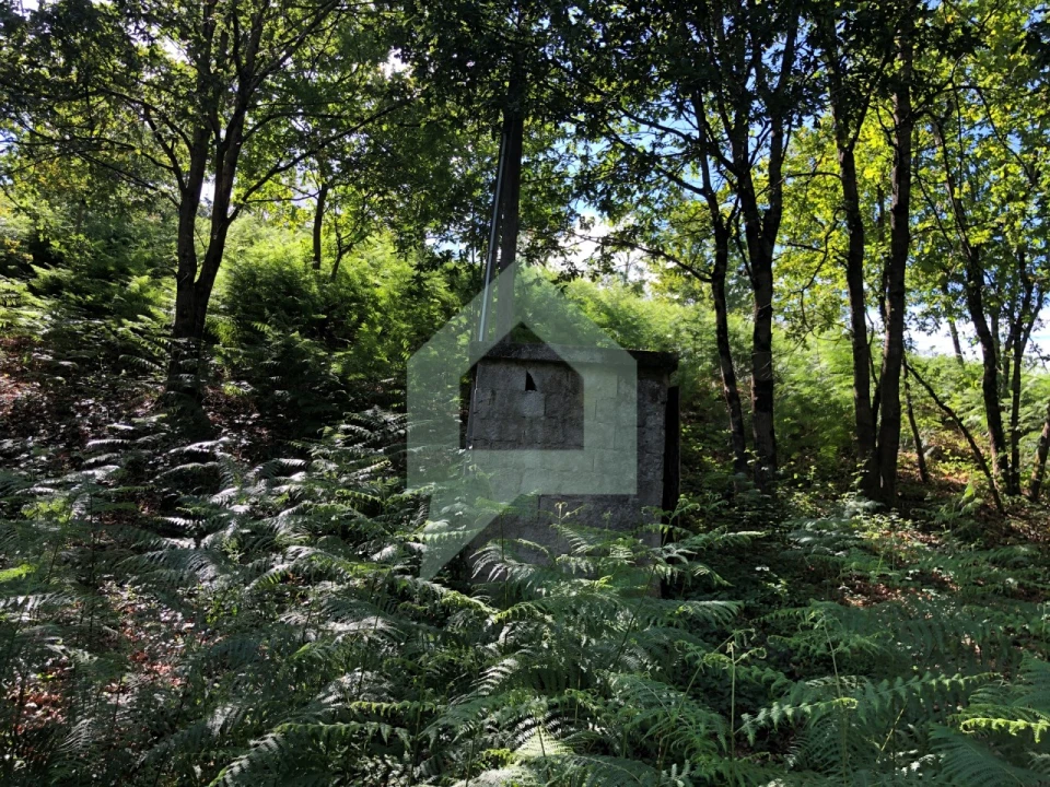Terreno Agricola ou Rústico para Venda em Cossourado Foto 18