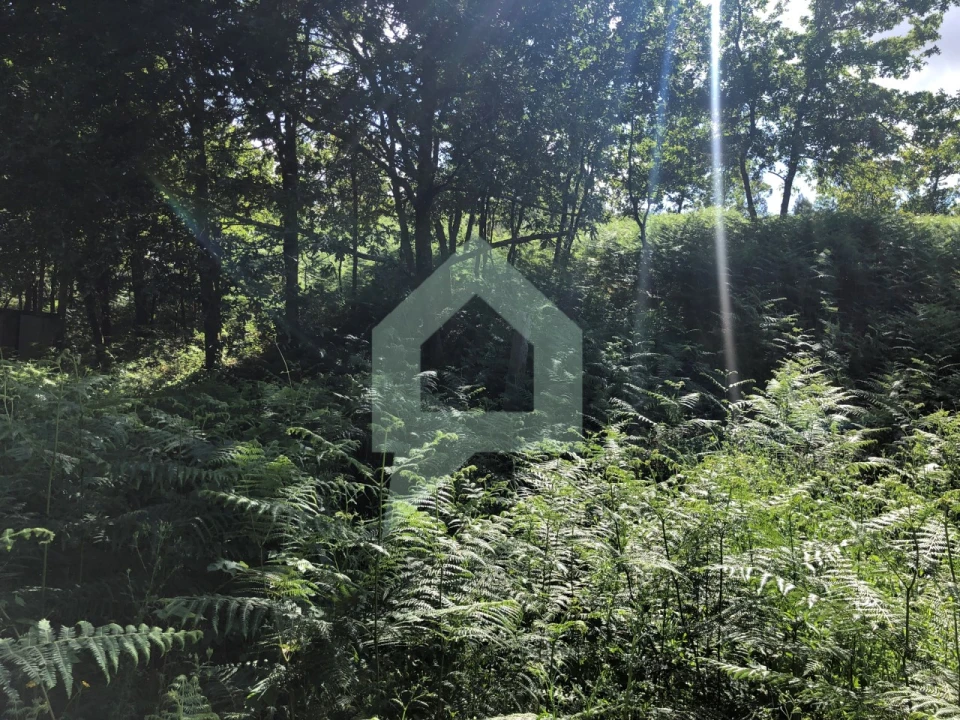 Terreno Agricola ou Rústico para Venda em Cossourado Foto 21