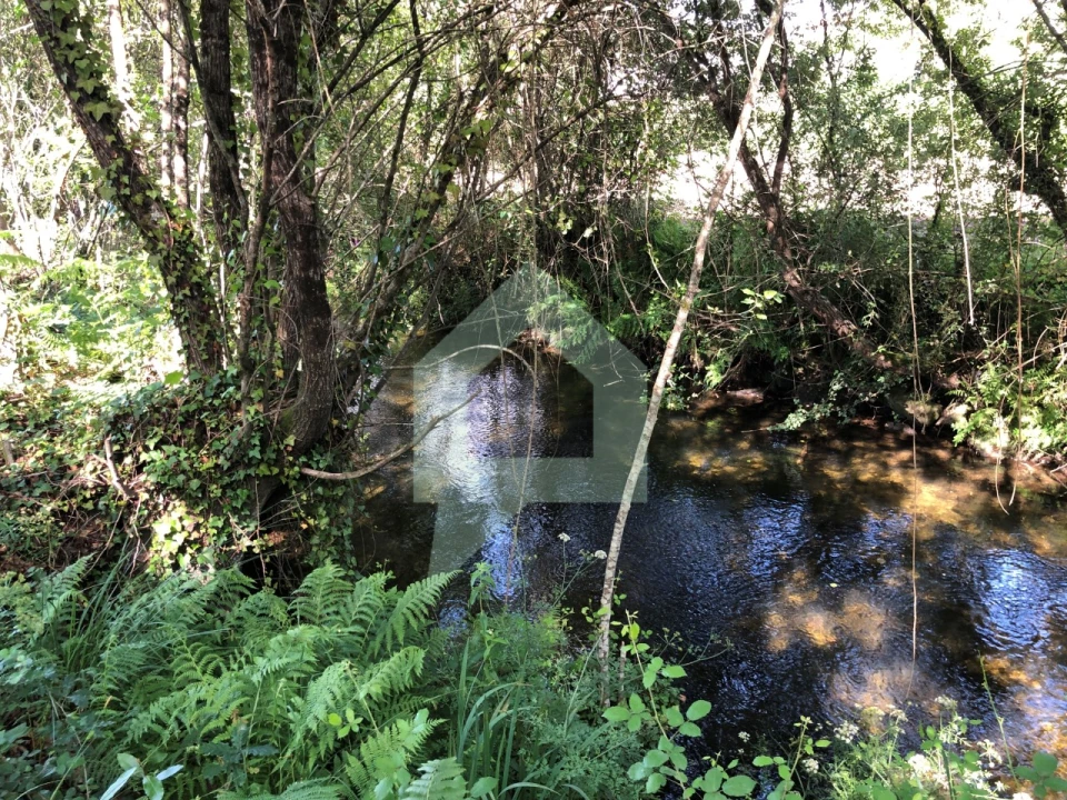 Terreno Agricola ou Rústico para Venda em Cossourado Foto 24
