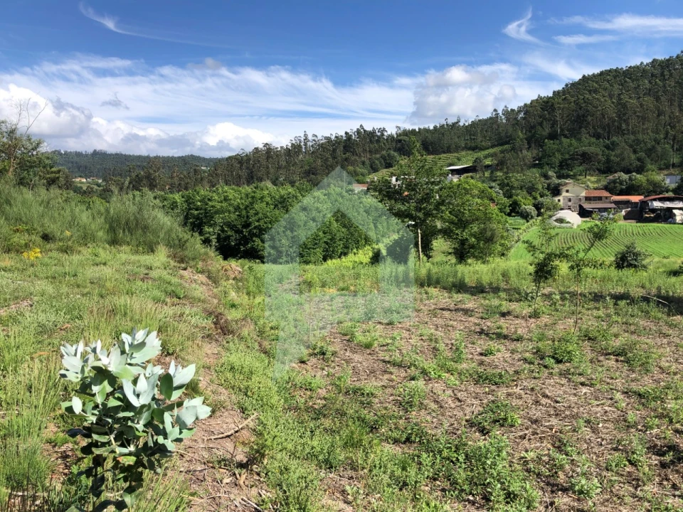 Terreno Agricola ou Rústico para Venda em Cossourado Foto 4