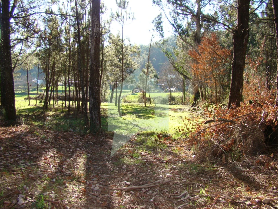 Terreno Agricola ou Rústico para Venda em Cossourado Foto 29