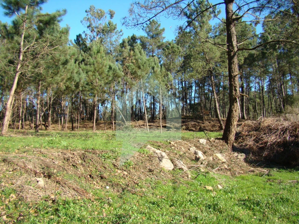 Terreno Agricola ou Rústico para Venda em Cossourado Foto 31