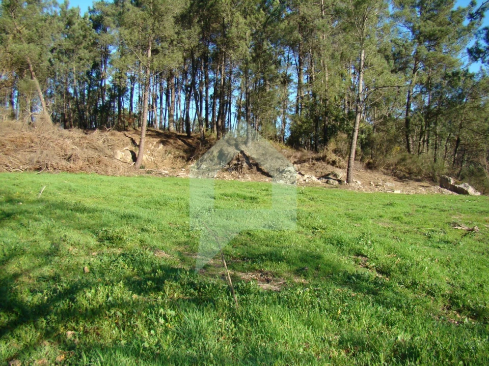 Terreno Agricola ou Rústico para Venda em Cossourado Foto 32