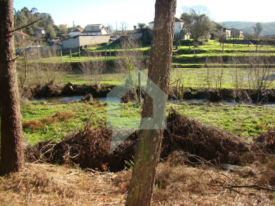 Terreno Agricola ou Rústico para Venda em Cossourado Foto 40