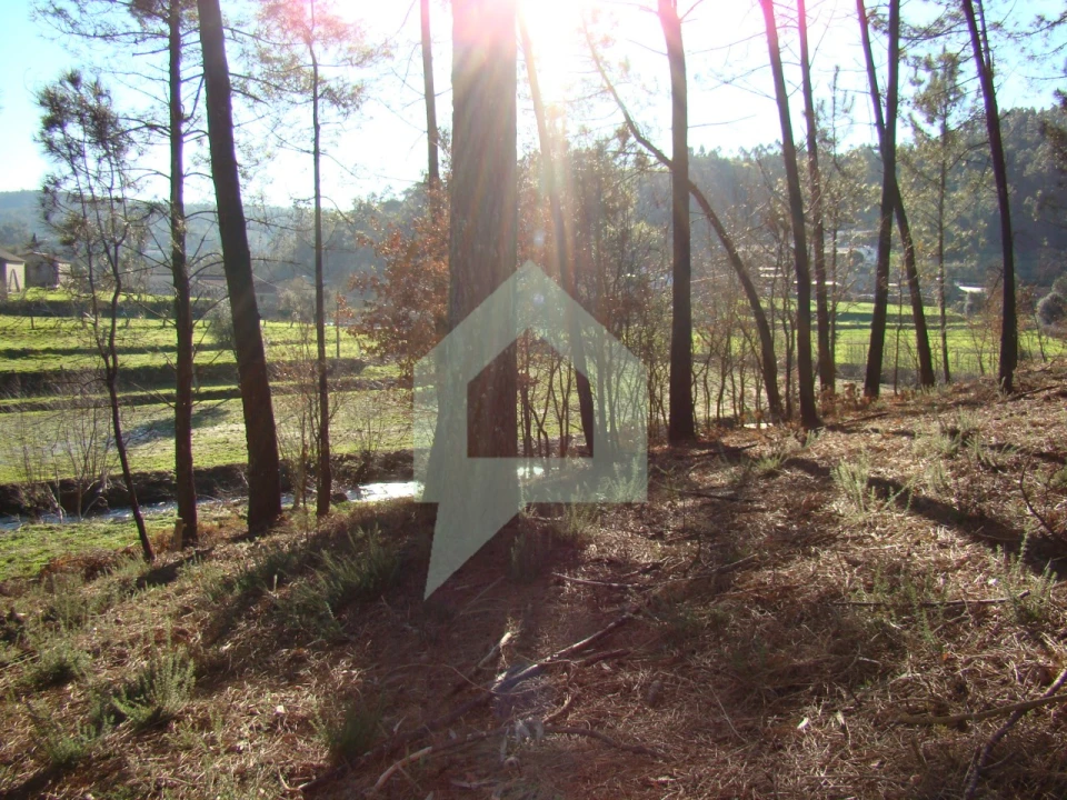 Terreno Agricola ou Rústico para Venda em Cossourado Foto 42